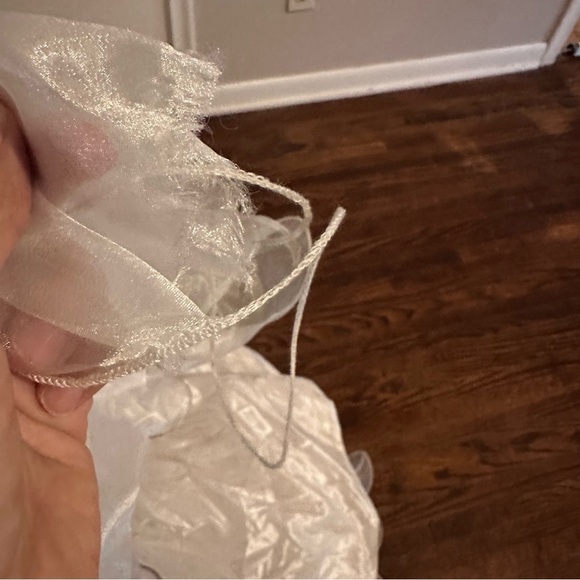 Quinceañera Adán Terriquez Additional Pictures Dress & Train Detail - Picture 15 of 17